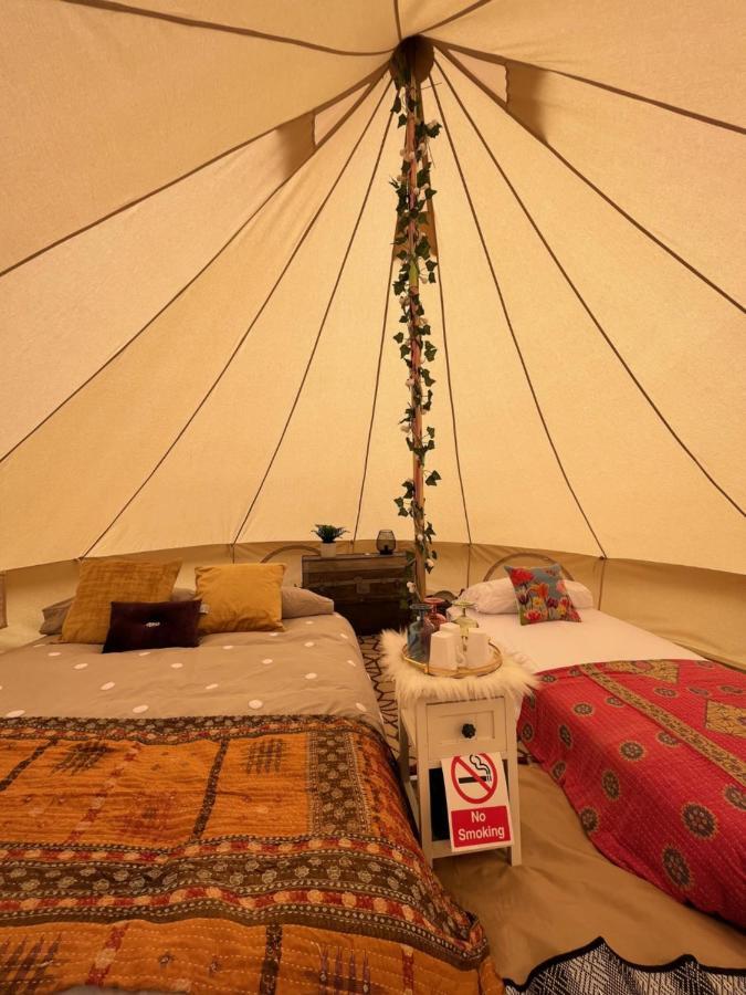 Hawthorne Field - Shoreline Escapes Luxury tent