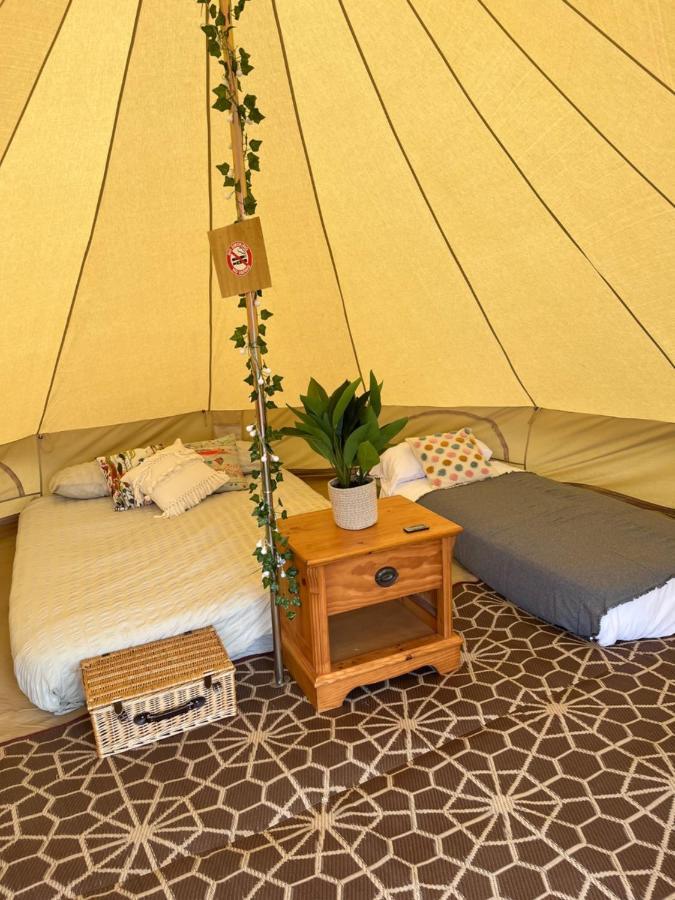 Hawthorne Field - Shoreline Escapes Luxury tent Bransgore