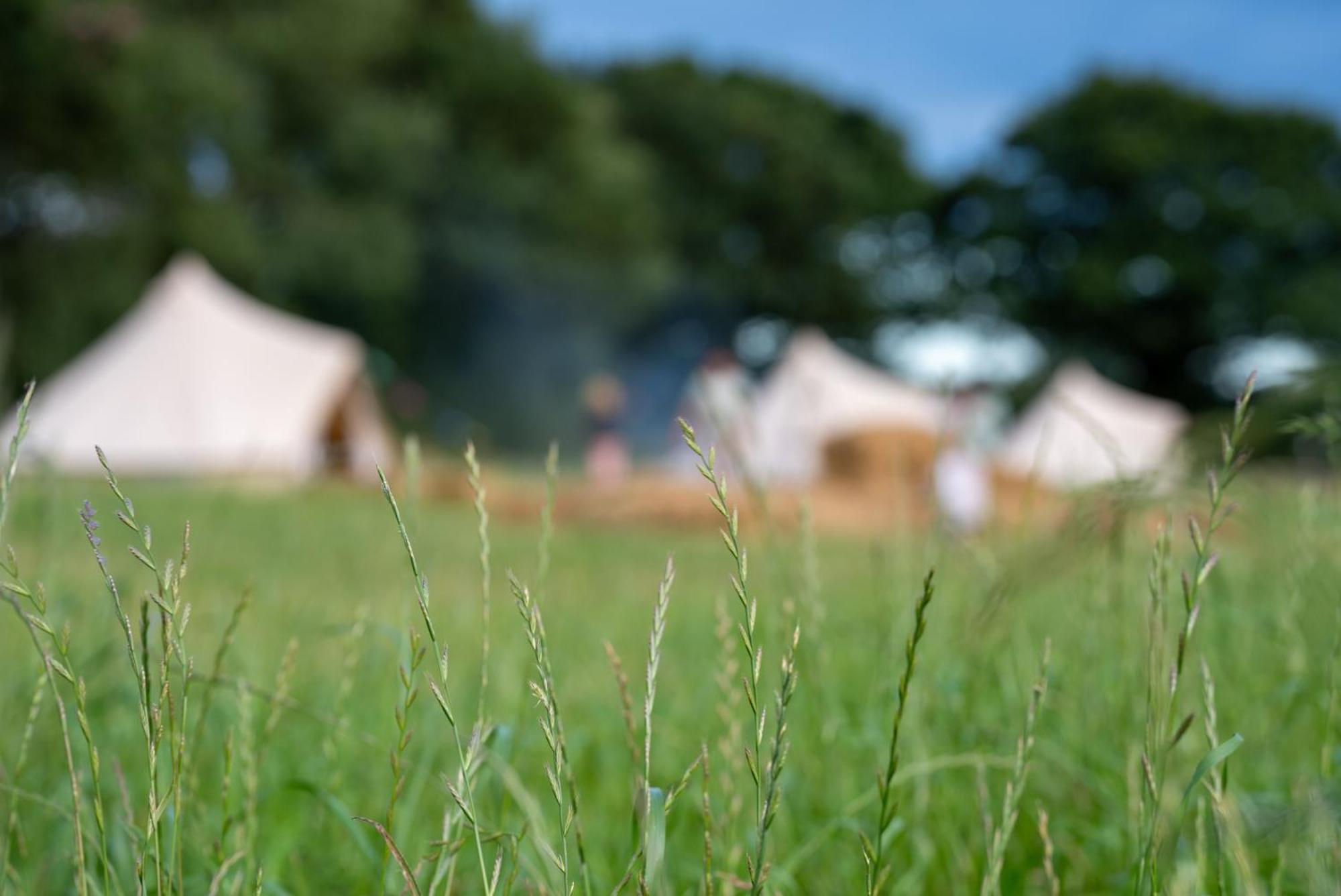 Hawthorne Field - Shoreline Escapes Luxury tent Bransgore
