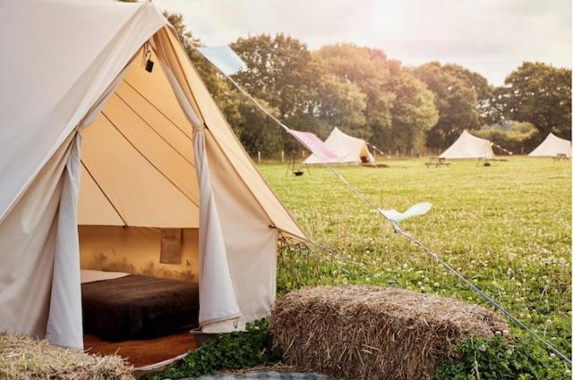 Luxury tent Hawthorne Field - Shoreline Escapes Bransgore